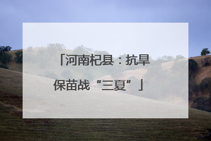河南杞县：抗旱保苗战“三夏”